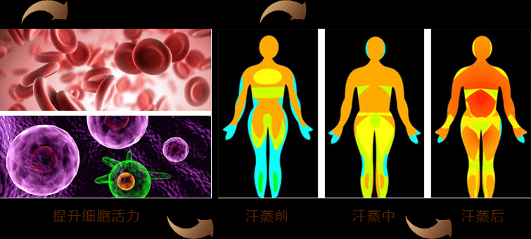 家庭汗蒸房品牌