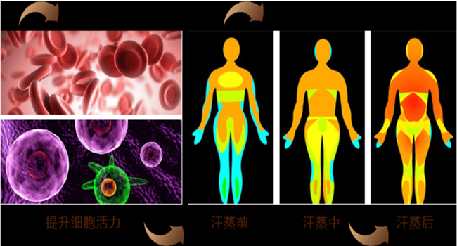 汗蒸后細(xì)胞的前后對(duì)比